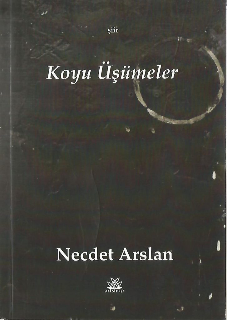 Kitap, Koyu Üşümeler, Necdet Arslan