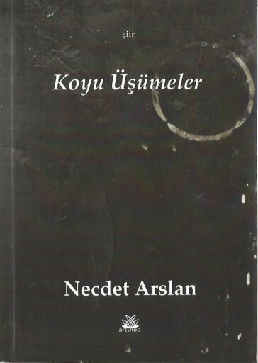 Kitap, Koyu Üşümeler, Necdet Arslan