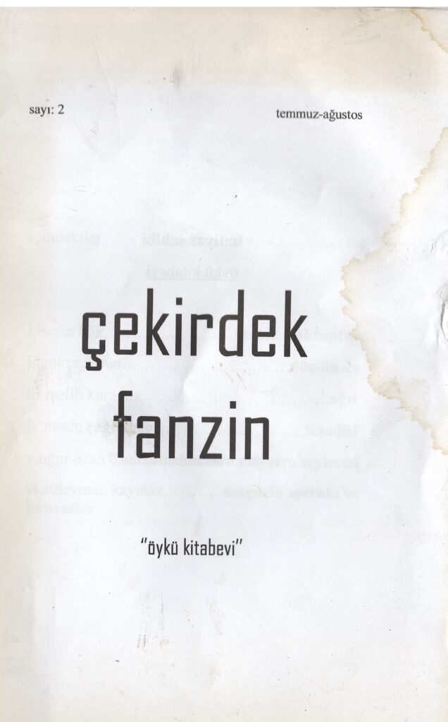 Çekirdek Fanzin, Sayı 2